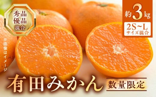 BF6031n_【2026年先行予約】 期間限定 有田みかん 約 3kg 2S～Lサイズ サイズ混合 30個 前後 秀品 優品 紀州 有田 みかん 温州みかん フルーツ 果実 甘み 酸味 絶妙 バランス 果物 柑橘 国産 食品 食べ物 マルシ農園 お取り寄せ 和歌山県 湯浅町 送料無料