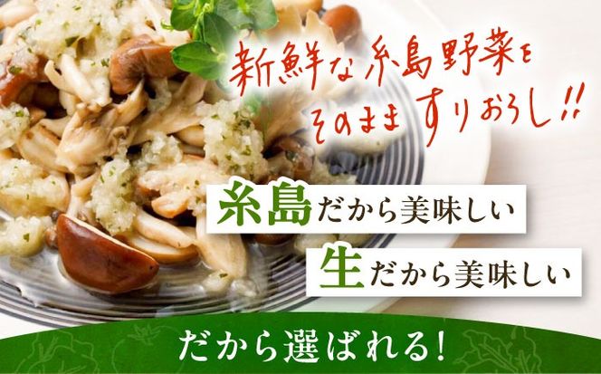 【全6回定期便/2ヶ月に1回】糸島野菜を食べる生ドレッシング おまかせ3本セット 糸島市 / 糸島正キ[AQA093]