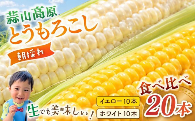 【先行予約】 朝採れ 蒜山高原 とうもろこし ミックス20本 | 7月下旬～8月上旬頃出荷予定 数量限定 人気 朝採り 新鮮 スイートコーン トウモロコシ 高糖度 甘い 夏野菜 岡山県 真庭市 産地直送 ギフト 【配送不可地域：北海道／沖縄県／離島】【jujy004-02】