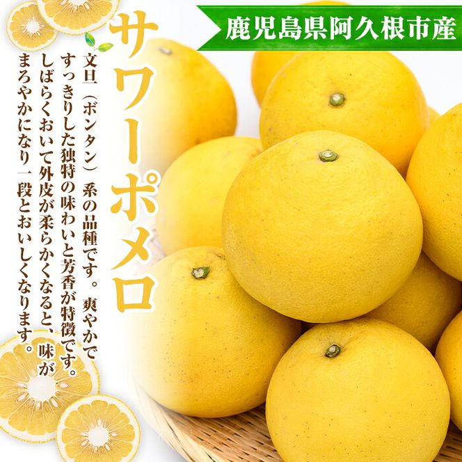 ＜先行予約受付中！2027年2月下旬以降順次発送予定＞訳あり！まなべみかん園のサワーポメロ(約19kg) 国産 鹿児島県産 阿久根市産 柑橘類 果物 フルーツ 数量限定 デザート 訳アリ 【有限会社まなべみかん園】akn034-23