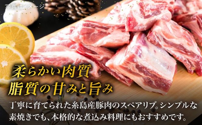 【 バーベキュー / 煮込み用 】 約1.2kg 糸島産豚肉 スペアリブ 《糸島》【糸島ミートデリ工房】 [ACA093] 国産 豚肉 九州産 糸島産 糸島産豚肉 国産豚 バーベキュー 煮込み