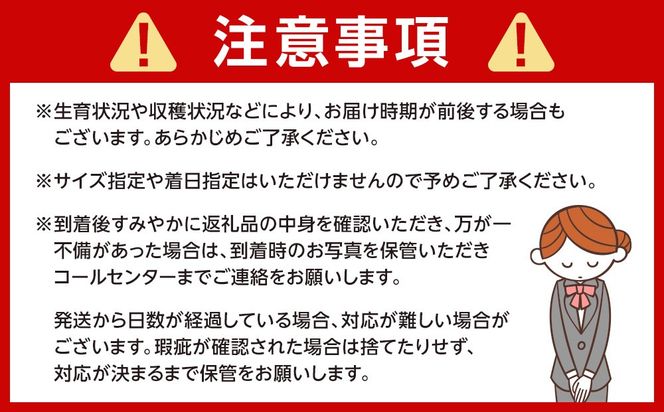 ［先行予約］ご家庭用 はっさく約3kg 大小サイズ 混合   FB03