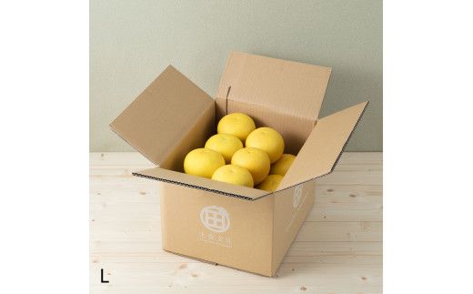 【先行予約】☆至高の柑橘　高知産 土佐文旦☆ L  24玉入【家庭用】〈2027年1月下旬頃より順次発送〉/ 柑橘 フルーツ 先行予約 ぶんたん ブンタン 果物 お取り寄せ【TAMURAKAJUEN】