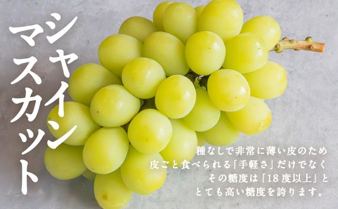 お肉とフルーツ 定期便 3回 コース 2026年 先行予約 桃 もも モモ ぶどう 葡萄 ブドウ シャインマスカット 果物 フルーツ なぎビーフ 肉 お肉 牛肉 牛 和牛 国産 岡山 赤磐市