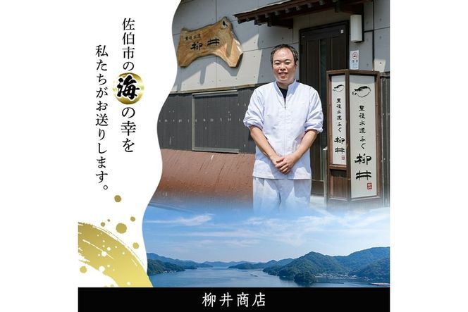 ＜定期便・全12回 (連続)＞とらふぐ刺身 (総量約2kg・2-3人用×12回) とらふぐ ふぐ フグ ふぐ刺し フグ刺し ふぐ刺身 フグ刺身 刺身 鮮魚 冷凍 養殖 国産 大分県 佐伯市【AB201】【柳井商店】