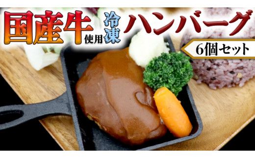 国産牛使用 こだわり 冷凍 ハンバーグ 6個 セット 牛肉 洋食 究極 本格 ビーフシチュー デミグラス レンジ可 惣菜 簡単 時短 [CT010us] レンチン レンジ 