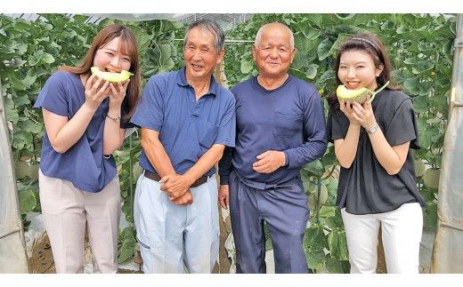 完熟 アールスメロン 2玉 2026年産 先行予約 メロン マスクメロン 青肉 果物 フルーツ 茨城県産 期間限定 数量限定 [AF003ci]