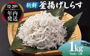 099H3023y 【年内発送】 新鮮 釜揚げしらす 合計 1kg 小分け 250g×4P