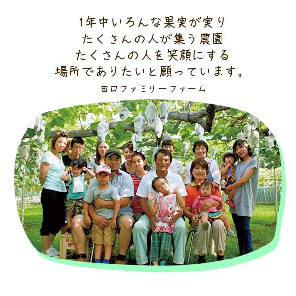 【田口ファミリーファーム】パリメール(瀬戸ジャイアンツ)3房~6房(約2.5kg~約4.5kg) N053-YZD0142