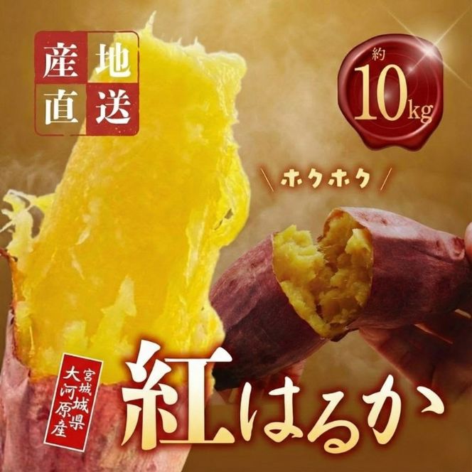 さつまいも 約10kg 紅はるか サツマイモ 宮城県産 甘い 秋 冬 スイーツ いも 産地直送 宮城県 大河原町