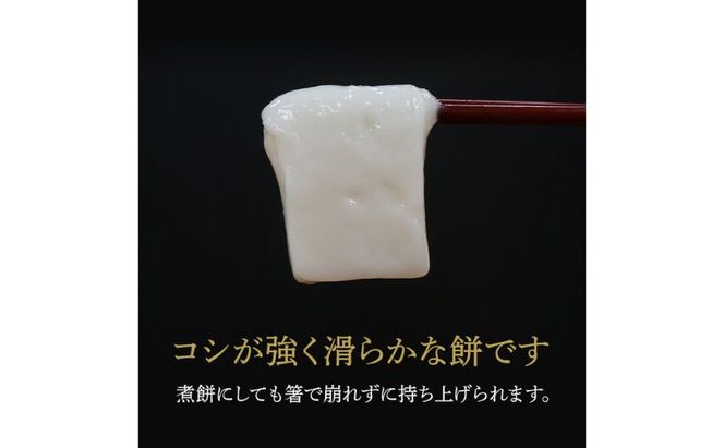 令和7年産 こがねもち使用 越路もち個包装パック 12枚入り×4パック (約2升） 餅 モチ 切り餅 おもち お餅 新潟