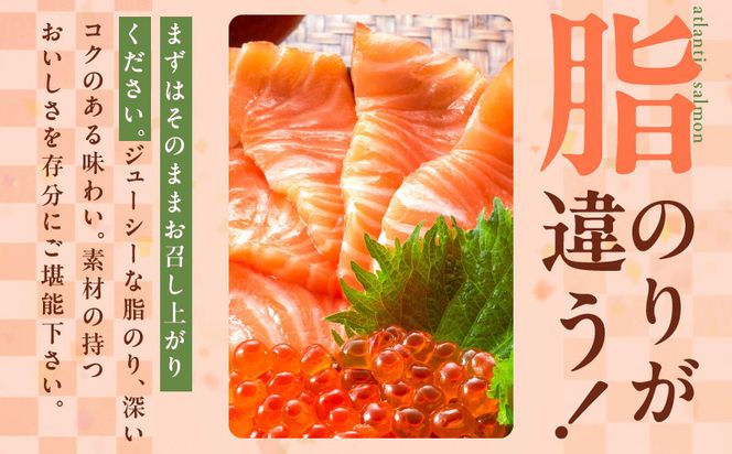 010B1647-3 【圧倒的企業努力】アトランティック サーモン 400g＋皮