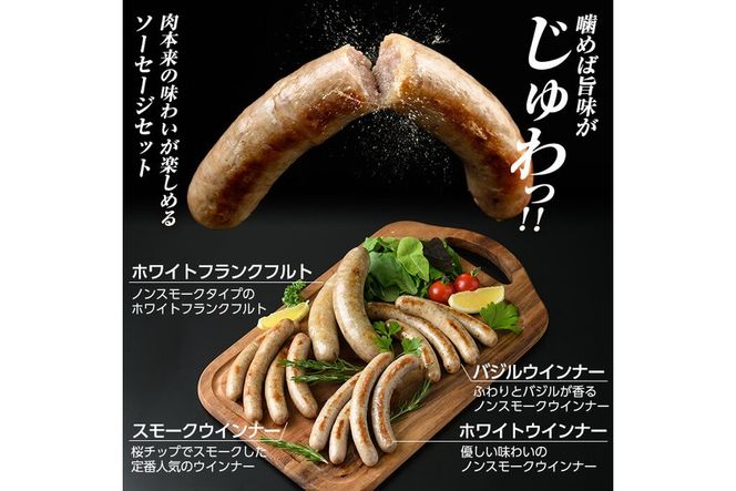 a877 《定期便全5回》鹿児島黒豚「短鼻豚」無添加ソーセージ＆長期熟成ベーコン【鹿児島ますや】姶良市 ウインナー ウィンナー フランクフルト ベーコンブロック 無添加 長期熟成 おつまみ 冷凍 黒豚 バラ肉 スモーク おかず