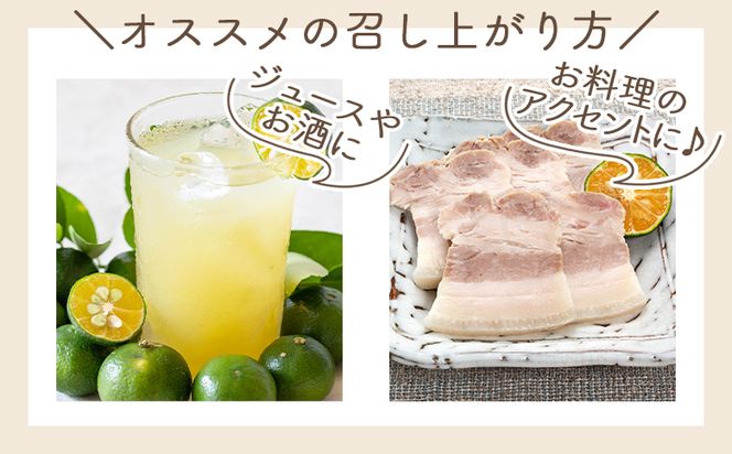 さわやかな香り漂うシークワーサー 1kg 柑橘 フルーツ くだもの 果物 yr-0106