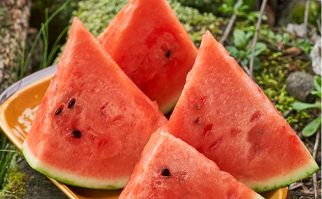 【2026年夏発送】スイカ 約5kg 北海道 富良野産 フルーツ 果物 すいか