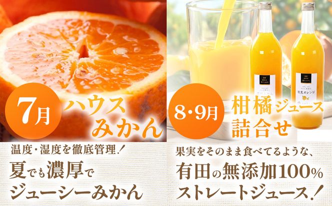 【定期便】厳選 柑橘定期便 S 12回（毎月）※北海道・沖縄・離島への配送不可※毎月発送