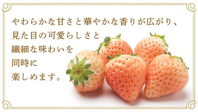 【桐箱入り】ピンクいちご 9～15粒 【2027年1月から発送開始】（茨城県共通返礼品 [いちご]：城里町産） いちご イチゴ 苺 とちおとめ 甘い 国産 人気 桐箱入り 贈答 贈り物 ギフト ふるさと納税