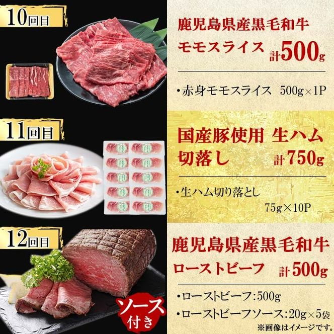 【定期便・全12回】ナンチクのお肉を楽しむ定期便！ナンチク厳選コース！ 総量8.5kg超! t0165-001