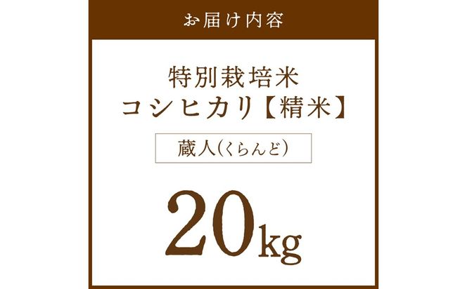 令和8年産 特別栽培米コシヒカリ 蔵人（くらんど） 精米20kg 特別栽培米 コシヒカリ 蔵人 おこめ 京都産 ふるさと納税 精米 ふるさと納税 コシヒカリ こしひかり　GF00025