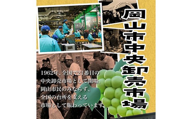 【2025年先行予約】白桃 8玉(1.7kg以上) 株式会社山博 (中本青果)《2025年7月上旬-8月上旬頃出荷》岡山県 浅口市 桃 もも フルーツ 旬 果物 国産 岡山県産 送料無料 冷蔵 化粧箱---124_c256_7j8j_23_28000_220---