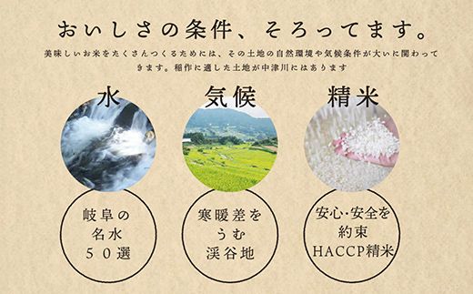 【10回定期便】岐阜県産 棚田米 1等米コシヒカリ はちたか米 玄米10kg（5kg×2袋） F4N-2637