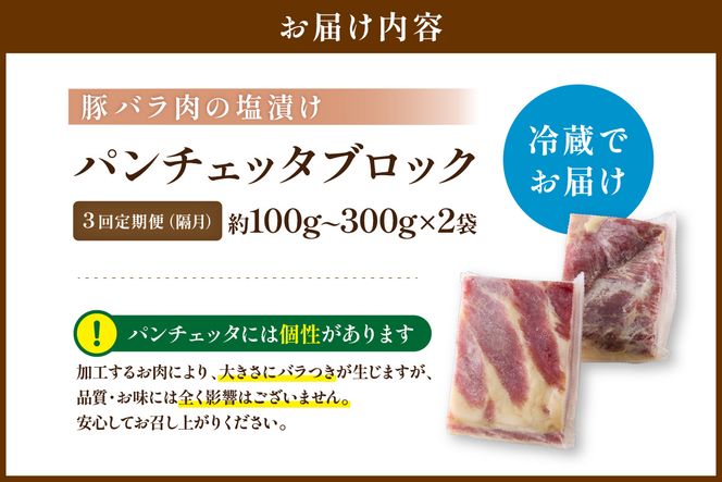 【定期便 隔月×3回】パンチェッタブロック（豚バラ肉の塩漬け）　約200g×2袋 ふるさと納税 豚肉 塩漬け ふるさと納税 ベーコン ふるさと納税 パンチェッタ 豚バラ 塩漬け スペイン料理　NI00024