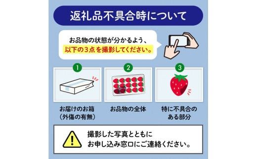 【先行予約 : 2026年1月～2026年2月発送予定 】 いちご きらぴ香 約1kg 約250g×4パック 朝どれ 完熟 苺 産地 直送 フレッシュ イチゴ 贈答 フルーツ 果物 国産 静岡県 藤枝市 ふるさと人気 ふるさとおすすめ