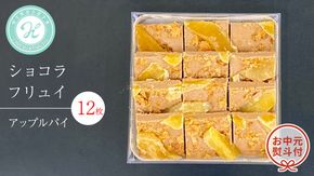 【 お中元 熨斗 付】 ショコラフリュイ アップルパイ 12枚 チョコレート チョコ スイーツ デザート 高級 ギフト 贈り物 お礼 プレゼント 手土産 お菓子 [DJ53-NT]
