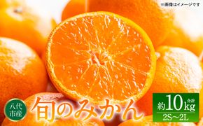 旬のみかん 2S～2Lサイズ 約10kg ミカン 柑橘 果物 フルーツ 旬 デザート 