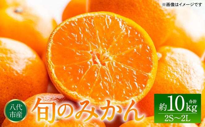 yF{sz{݂̂ 2S`2LTCY 10kg ~J k ʕ t[c { fU[g