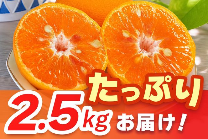 【2027年4月上旬より発送開始】南津海(なつみ)みかん 2.5kg【みかん 柑橘 オレンジ ポンカン フルーツ デザート 果汁】(H116155)