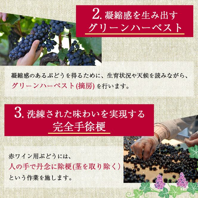 マンズワイン スタンダードキュヴェ6本セット