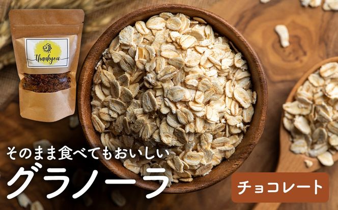 【Your,GURT&GRANOLA】グラノーラ チョコレート | グラノーラ シリアル 朝食 朝ごはん 食品 おやつ はちみつ チョコ チョコレート 送料無料 岐阜県 瑞穂市