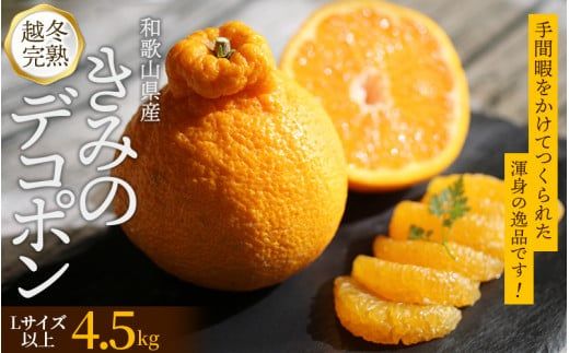  甘みと旨味がぎゅっと詰まった逸品！越冬完熟「きみのデコ」(デコポンと同品種) 4.5kg サイズ混合 L以上 ご家庭用(秀優混合) / デコポン 不知火 柑橘  和歌山県 越冬 有機 【kmf003】