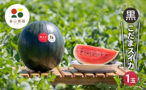 【2026夏発送】黒こだま スイカ 1玉 (2kg以上) 北海道 富良野産 すいか 西瓜 夏 フルーツ ふらの 甘い 糖度 小玉 (畠山農園)