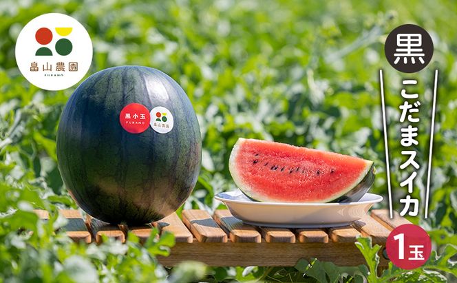 【2026夏発送】黒こだま スイカ 1玉 (2kg以上) 北海道 富良野産 すいか 西瓜 夏 フルーツ ふらの 甘い 糖度 小玉 (畠山農園)