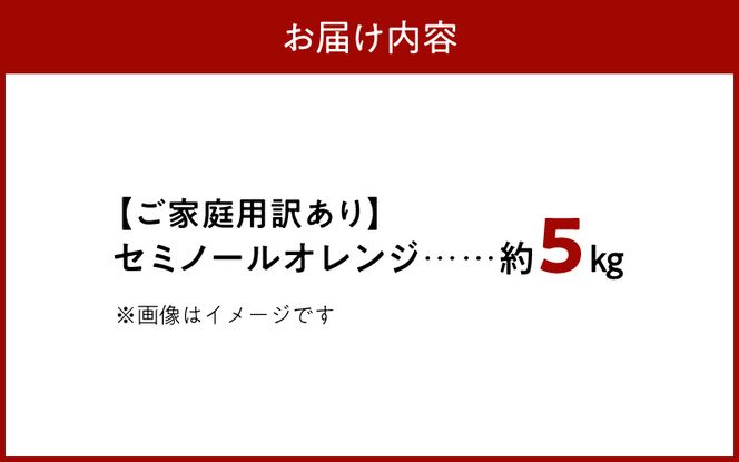 【2027年先行予約】【ご家庭用訳あり】ジューシー柑橘 セミノールオレンジ 約5kg_G7374