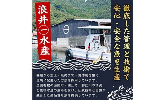 とらふぐ 刺身 セット 4～5人前 2皿セット (75g×2皿・計150g) ふぐ刺し ふぐ刺身 とらふぐ 薬味付き ポン酢付き 個包装 真空 冷凍 国産 養殖 河豚 豊後水道 岬ふぐ 海鮮 魚介 大分県 佐伯市【JJ003】【浪井丸一水産】