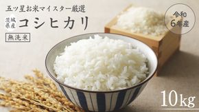 《令和6年産》茨城県産 無洗米 コシヒカリ 10kg ( 5kg × 2袋 ) こしひかり 米 コメ こめ 五ツ星 高品質 白米 精米 時短 期間限定 [AC027us]