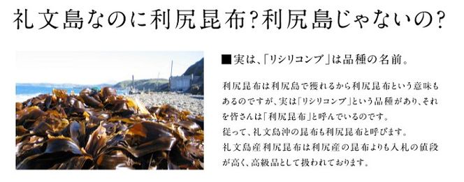 利尻昆布 400g 魚貝類 こんぶ 