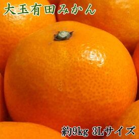 ZD6321n_【2026年先行予約】【食べごたえ十分・秀品】 和歌山 有田みかん 大玉 9kg (3Lサイズ)