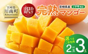 ※選べる内容量※ 【令和9年発送】ご自宅用宮崎県産完熟マンゴー 【 果物 フルーツ マンゴー 宮崎県産 完熟マンゴー みやざきマンゴー 先行予約 】 [B03220 B03221 B03222]