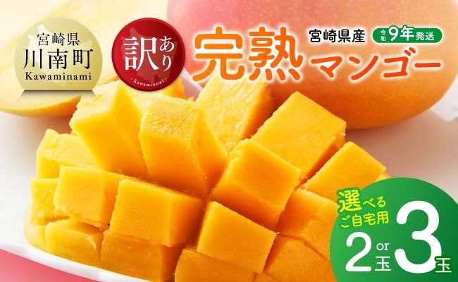 ※選べる内容量※ 【令和9年発送】ご自宅用宮崎県産完熟マンゴー 【 果物 フルーツ マンゴー 宮崎県産 完熟マンゴー みやざきマンゴー 先行予約 】 [B03220 B03221 B03222]