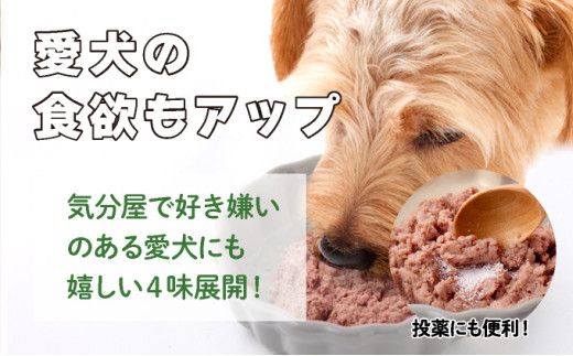 登別産エゾシカ肉のドッグフード【エゾリッチ】選べる4点セット
