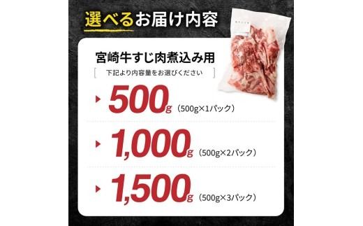 ※グラムが選べる※ 宮崎牛すじ肉煮込み用 【 肉 宮崎 煮込み 牛肉 おかず 宮崎牛 】 [B13210 B13211 B13212]