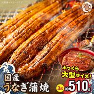 G7311_大型サイズ ふっくら柔らか 国産うなぎ 蒲焼き 3尾 (約6人前) 化粧箱入
