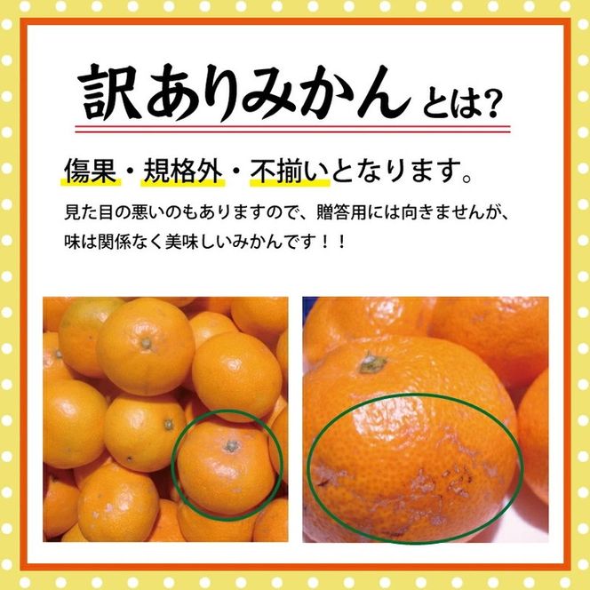 【訳あり】有田みかん 10kg | 農家直送 訳あり ご家庭用 サイズ混合 光センサー選別 温州みかん みかん 訳あり わけあり 家庭用
