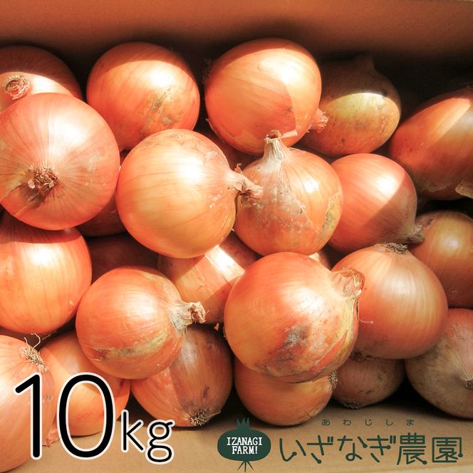 いざなぎ農園の淡路島玉ねぎ 10kg　玉ねぎ