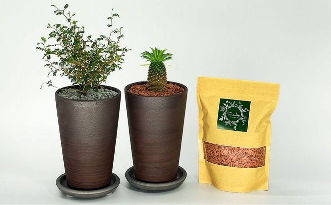 三河焼植木鉢ハーモニーブラウン【テラチップ赤焼】プランター お手軽植物栽培セット 園芸 粘土 鉢 植物 土 シルバー 赤 茶 H188-008