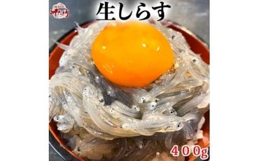 生しらす(お刺身) 400ｇ(100ｇ×4個) 岬だより